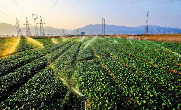 我國(guó)農(nóng)業(yè)綠色發(fā)展水平持續(xù)向好